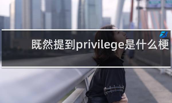 既然提到privilege是什么梗 既然提到privilege什么梗