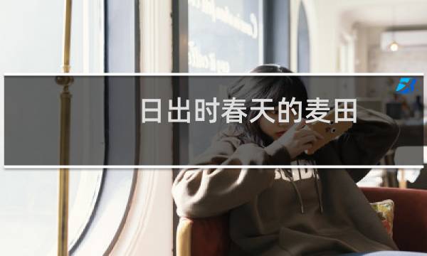 日出时春天的麦田(关于日出时春天的麦田的简介)图片