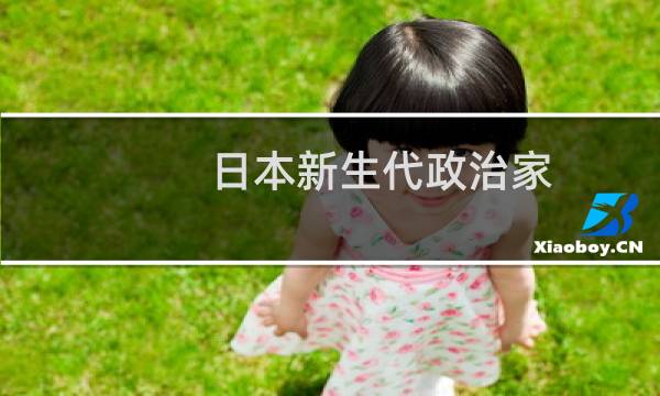 日本新生代政治家(关于日本新生代政治家的简介)图片