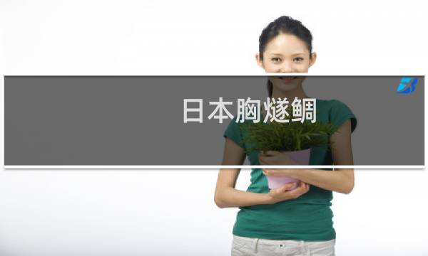日本胸燧鲷(关于日本胸燧鲷的简介)