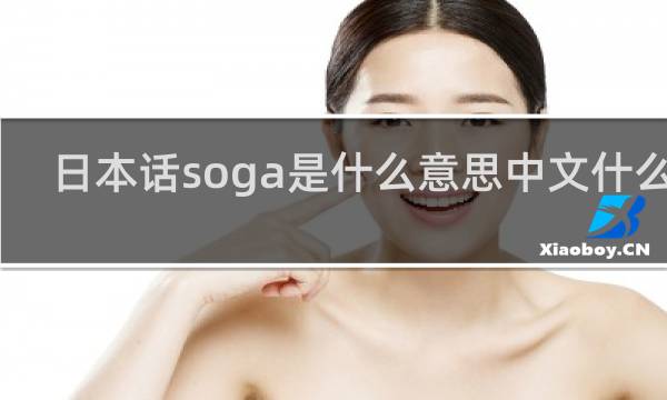 日本话soga是什么意思中文什么梗