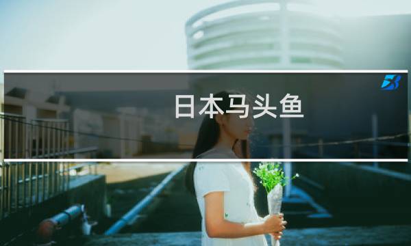 日本马头鱼(关于日本马头鱼的简介)