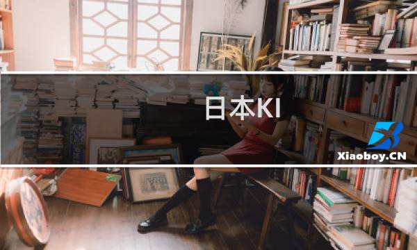 日本KI-45战斗机(关于日本KI-45战斗机的简介)