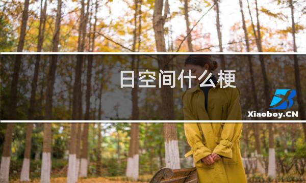 日空间什么梗