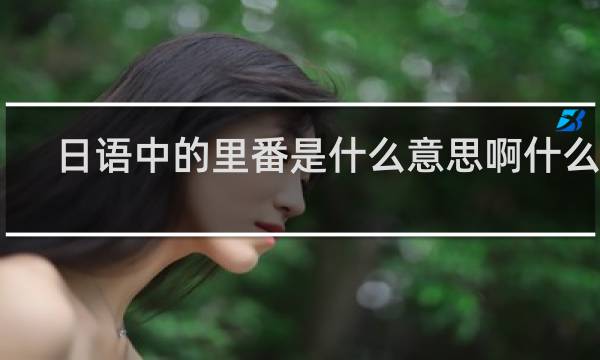 日语中的里番是什么意思啊什么梗
