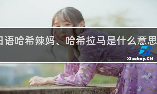 日语哈希辣妈、哈希拉马是什么意思什么梗