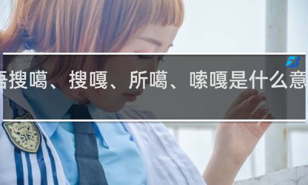 日语搜噶、搜嘎、所噶、嗦嘎是什么意思什么梗
