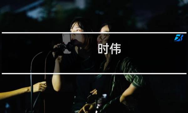 时伟(关于时伟的简介)图片