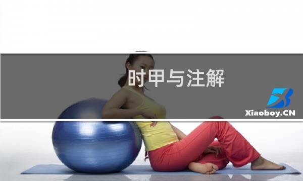时甲与注解(关于时甲与注解的简介)图片