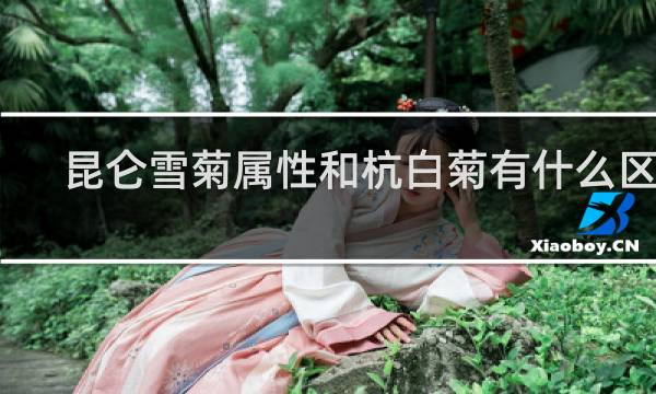昆仑雪菊属性和杭白菊有什么区别