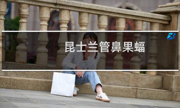 昆士兰管鼻果蝠(关于昆士兰管鼻果蝠的简介)图片