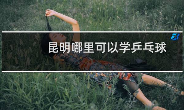 昆明哪里可以学乒乓球