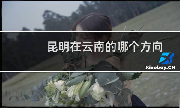 昆明在云南的哪个方向