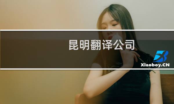昆明翻译公司