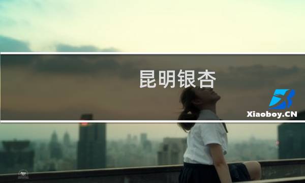 昆明银杏