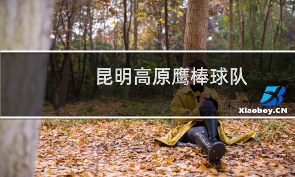 昆明高原鹰棒球队(关于昆明高原鹰棒球队的简介)