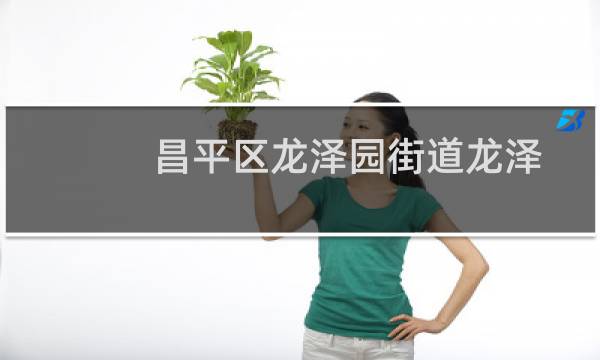 昌平区龙泽园街道龙泽苑社区管城理市志愿服务队(关于昌平区龙泽园街道龙泽苑社区管城理市志愿服务队的简介)图片