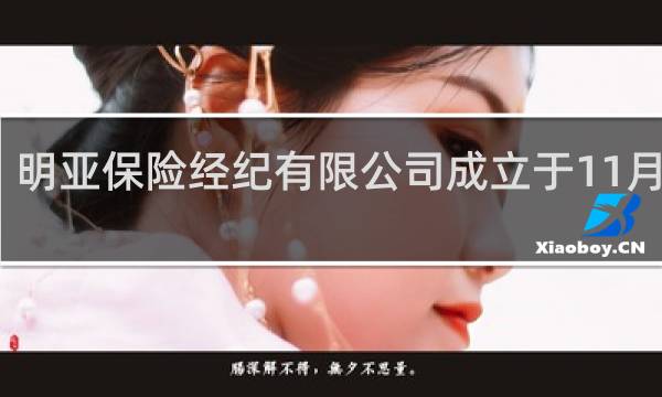 明亚保险经纪有限公司成立于11月几号