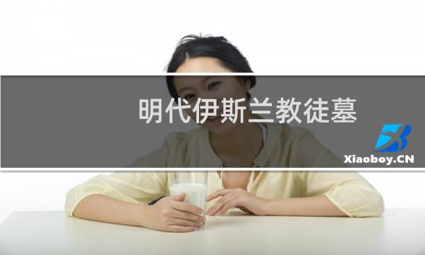 明代伊斯兰教徒墓(关于明代伊斯兰教徒墓的简介)图片