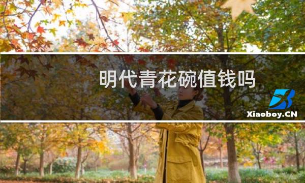 明代青花碗值钱吗