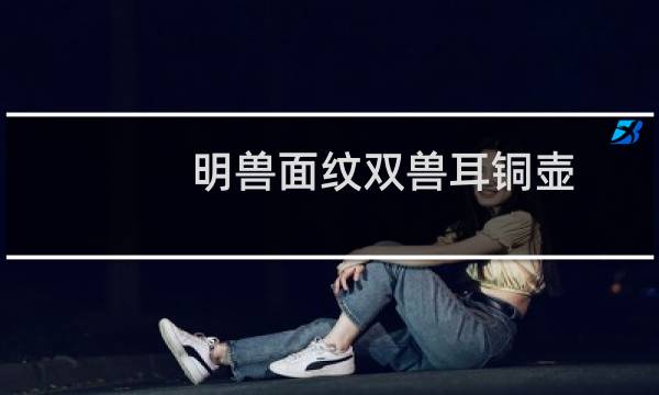 明兽面纹双兽耳铜壶