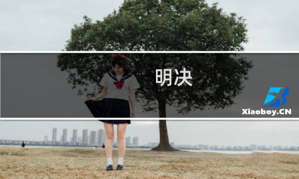 明决(关于明决的简介)