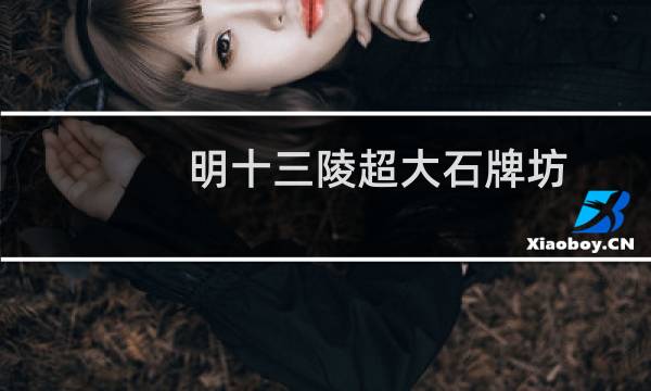 明十三陵超大石牌坊(关于明十三陵超大石牌坊的简介)