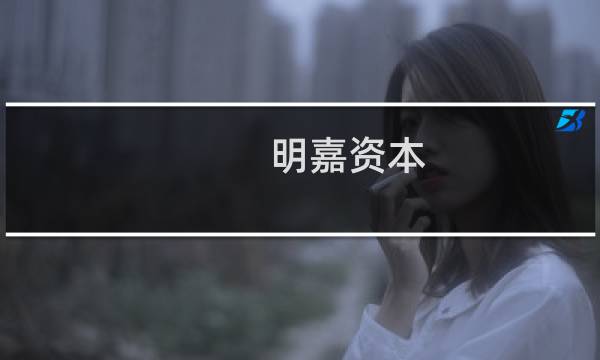 明嘉资本(关于明嘉资本的简介)图片