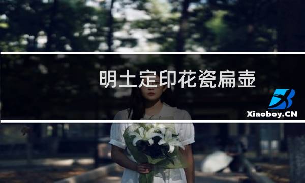 明土定印花瓷扁壶(关于明土定印花瓷扁壶的简介)