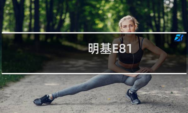 明基E81(关于明基E81的简介)图片