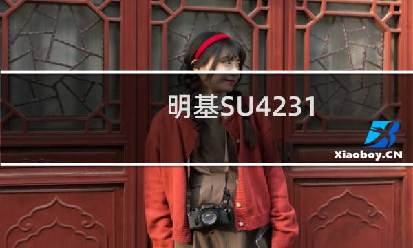 明基SU4231(关于明基SU4231的简介)图片