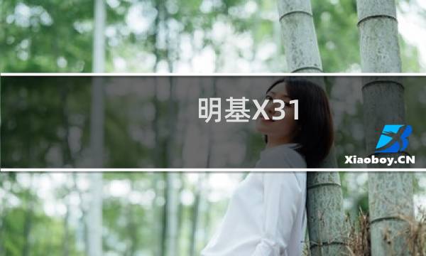 明基X31(关于明基X31的简介)图片
