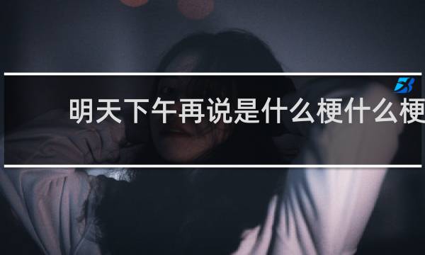 明天下午再说是什么梗什么梗