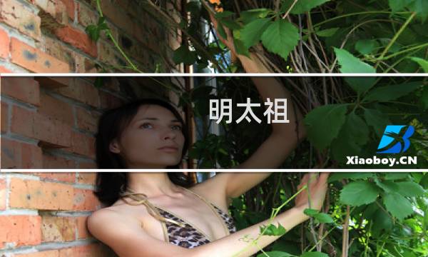 明太祖(关于明太祖的简介)图片