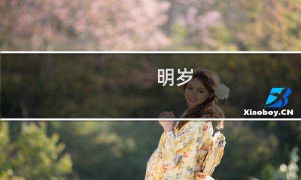 明岁(关于明岁的简介)