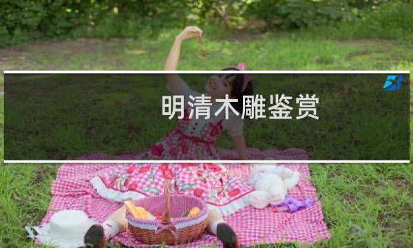 明清木雕鉴赏(关于明清木雕鉴赏的简介)