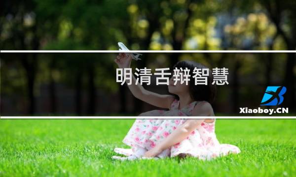 明清舌辩智慧(关于明清舌辩智慧的简介)