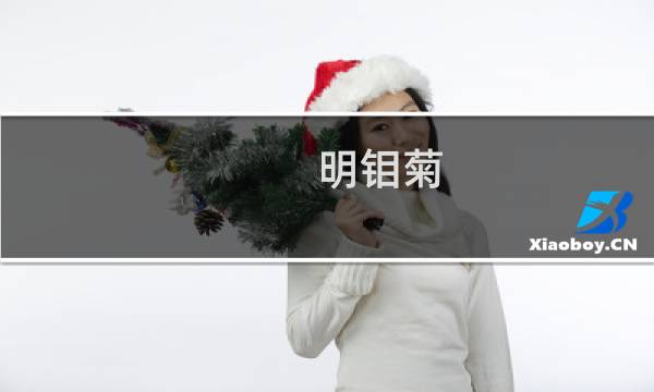 明钼菊(关于明钼菊的简介)图片