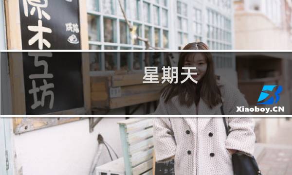 星期天(关于星期天的简介)