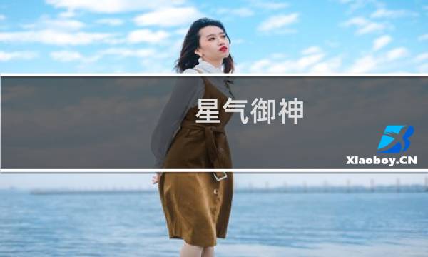 星气御神(关于星气御神的简介)