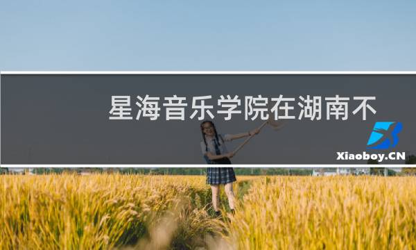 星海音乐学院在湖南不分组包括哪些专业 附各专业招生人数