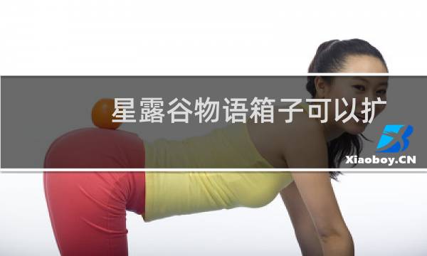 星露谷物语箱子可以扩大吗（星露谷物语背包怎么扩大）图片