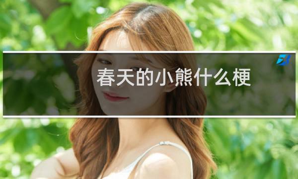 春天的小熊什么梗