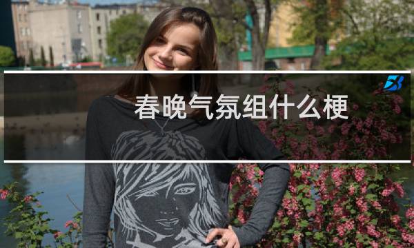 春晚气氛组什么梗