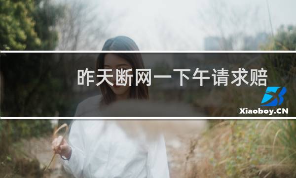 昨天断网一下午请求赔偿-云服务器问题