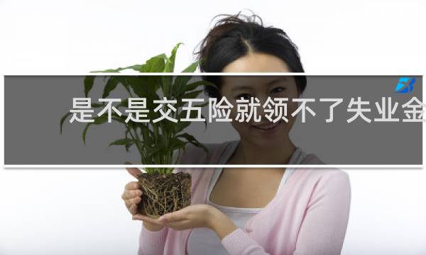 是不是交五险就领不了失业金