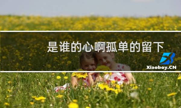 是谁的心啊孤单的留下(是谁的心啊孤单的留下什么歌)