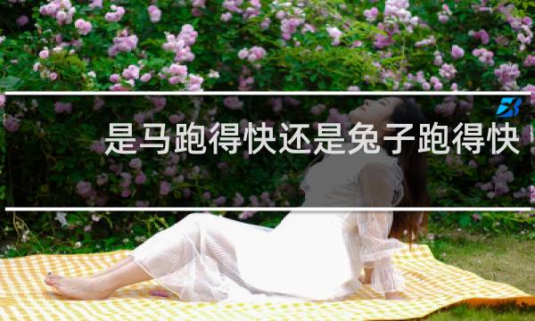 是马跑得快还是兔子跑得快