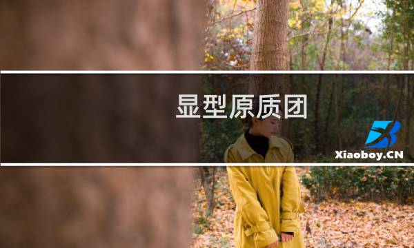 显型原质团(关于显型原质团的简介)图片