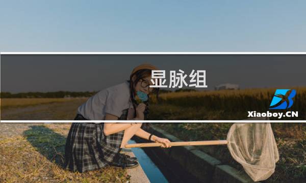 显脉组(关于显脉组的简介)图片
